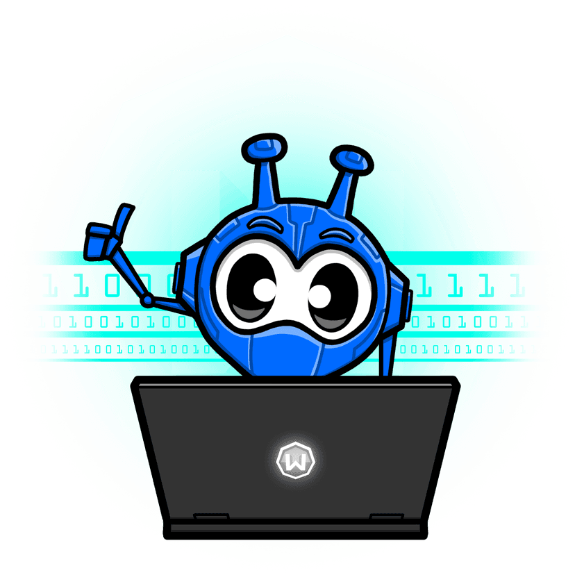 Choose the Right VPN for Online Shopping